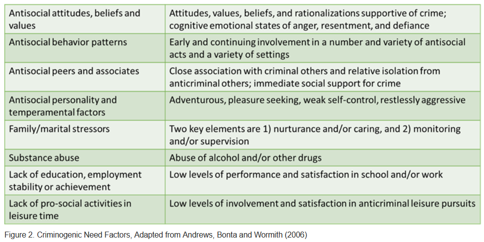 Criminogenic Needs Factors